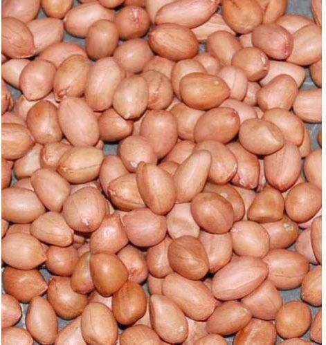 groundnut kernels