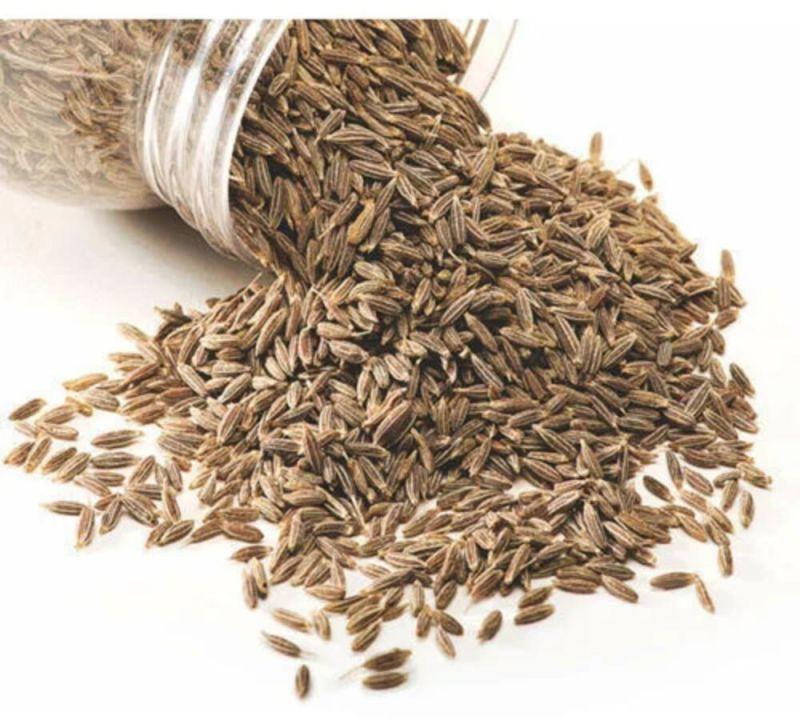 Common Cumin Seeds, for Cooking, Grade Standard : Food Grade