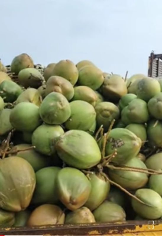 Tender Coconut