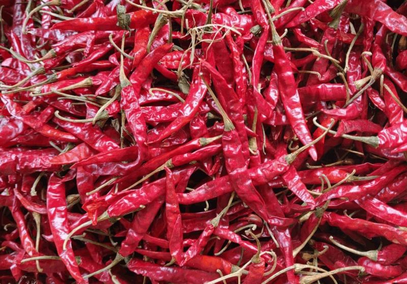 Armor Dry Red Chilli, for Spices, Grade Standard : Food Grade
