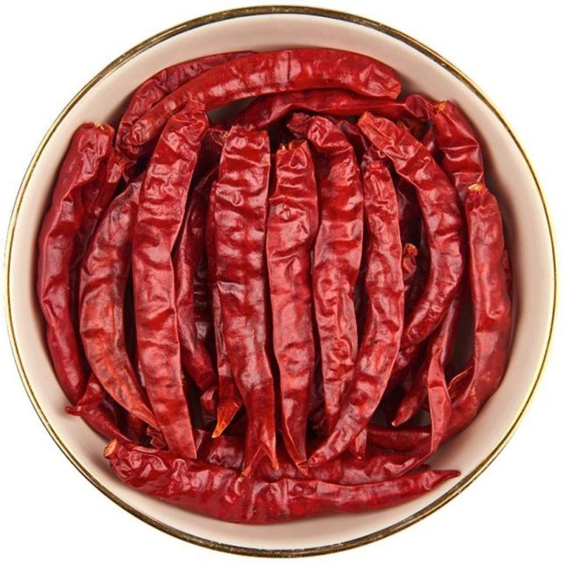 S17 Teja Dry Red Chilli, for Spices, Grade Standard : Food Grade
