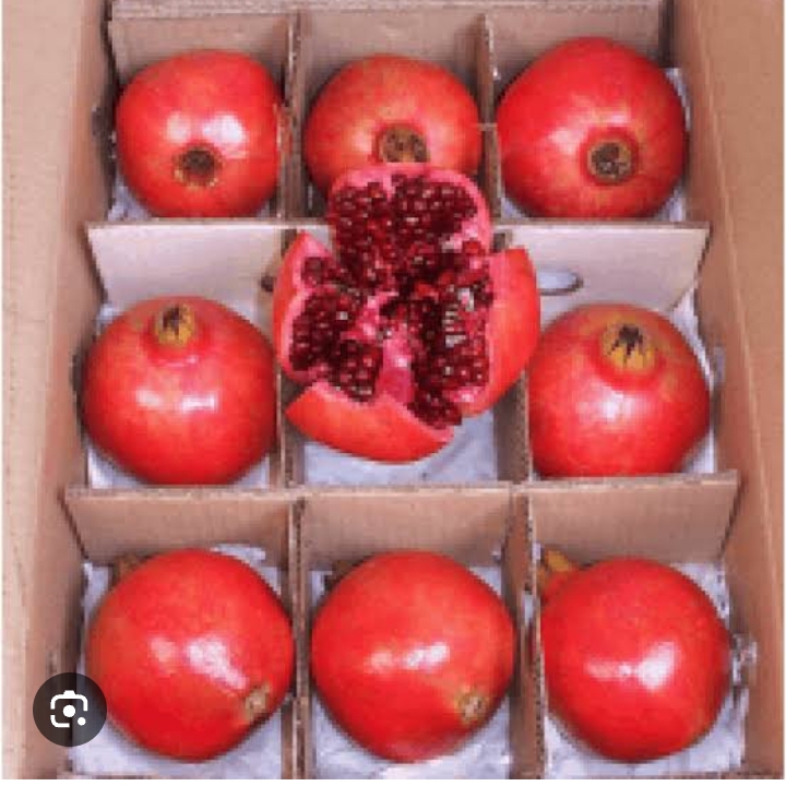 Fresh Grapes, for Cooking, Food Medicine, Cosmetics, Variety : Arakta Pomegranate