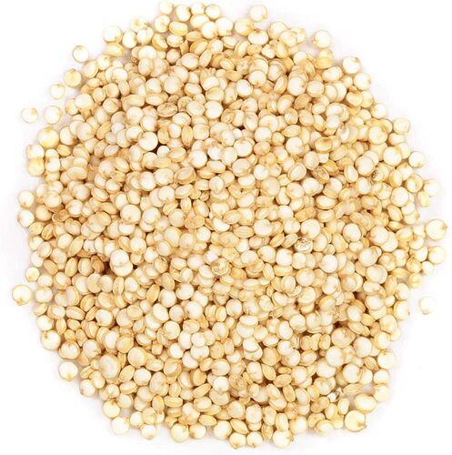 Organic Beans Quinoa Seeds, Packaging Type : Jute Bag
