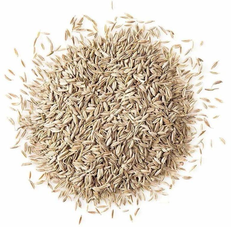 Raw Natural White Cumin Seeds for Cooking