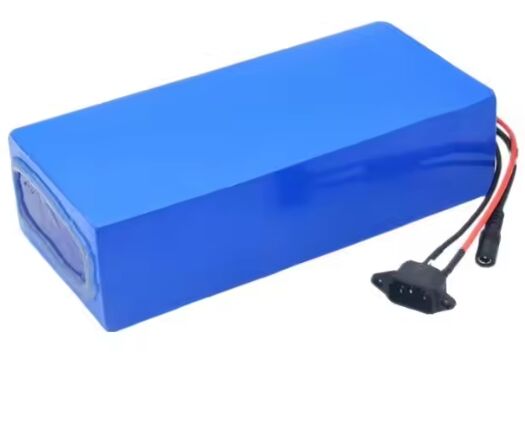 Lithium Ion Battery Pack 12v 24v 36v 48v 60v 72v 10ah 20ah 3