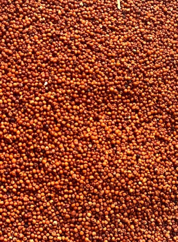 Brown Natural Ragi Seeds, for Cooking, Style : Dried