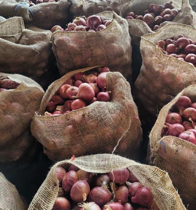 Nasik Red Onion, for Selling, Shelf Life : 6 months