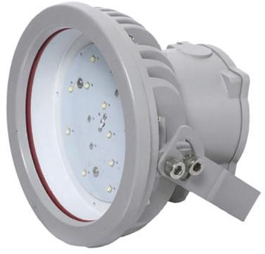 45 Watt LED Flood Light