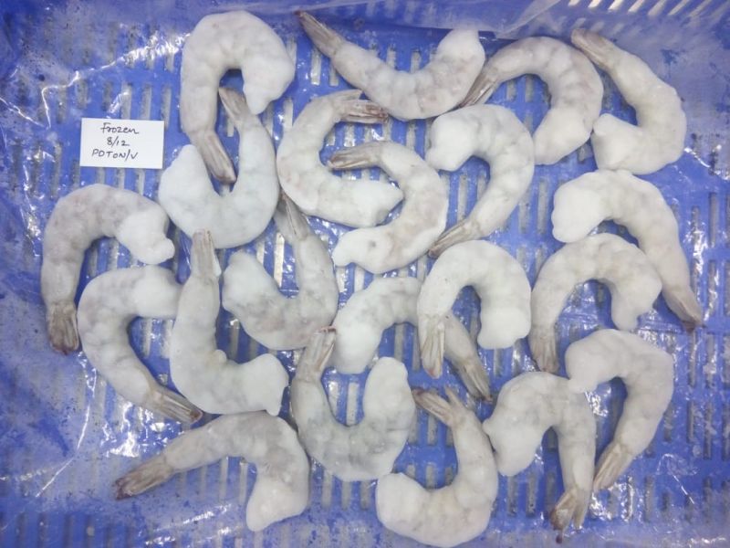 Frozen Seafood, Packaging Type : Plastic Packet