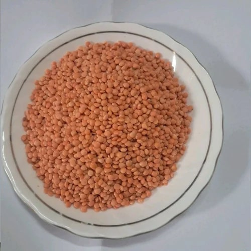 Organic Masoor Dal, Speciality : High In Protein