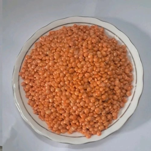 Red Organic Polished Masoor Dal, for Cooking, Style : Dried