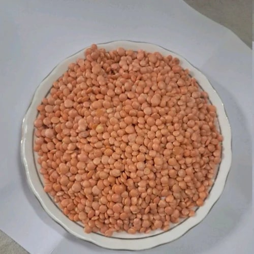 Red Organic Unpolished Masoor Dal, for Cooking, Style : Dried