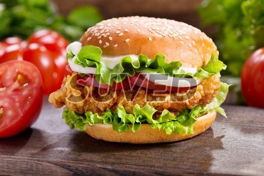 500g Chicken Burger, Packing Type : Vaccum