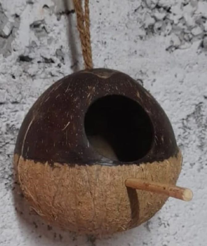 Half Polished VEBAS coconut shell bird house, Mounting Type : Tree Mounting