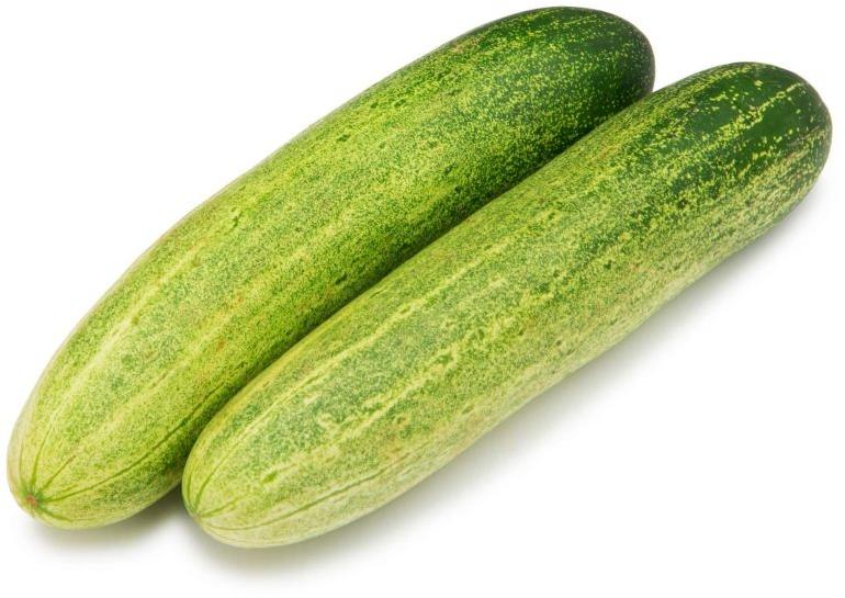 Green A Grade Cucumber
