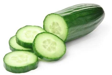 Fresh Green Cucumber