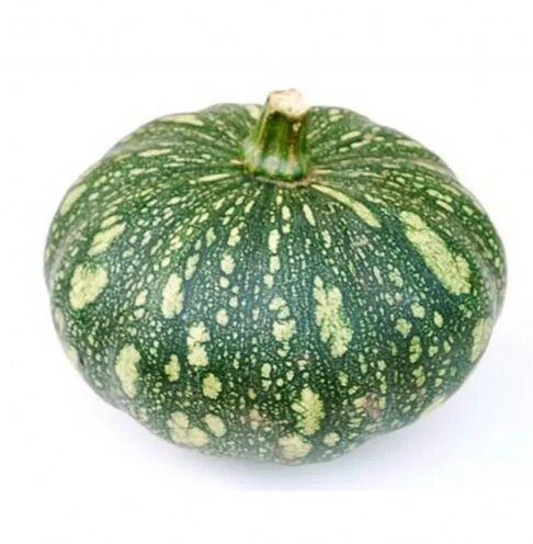 Green Pumpkin, Size : Large