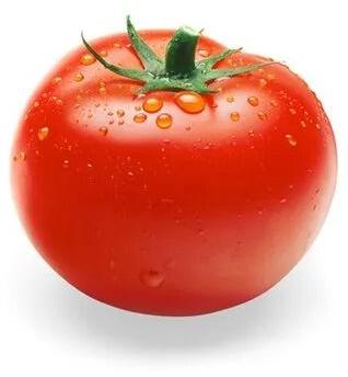 Red Tomato, Packaging Size : 25-50 Kg