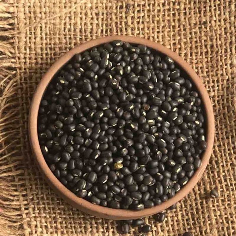 Black Granules Sabut Urad Dal, for Cooking, Shelf Life : 6 Month