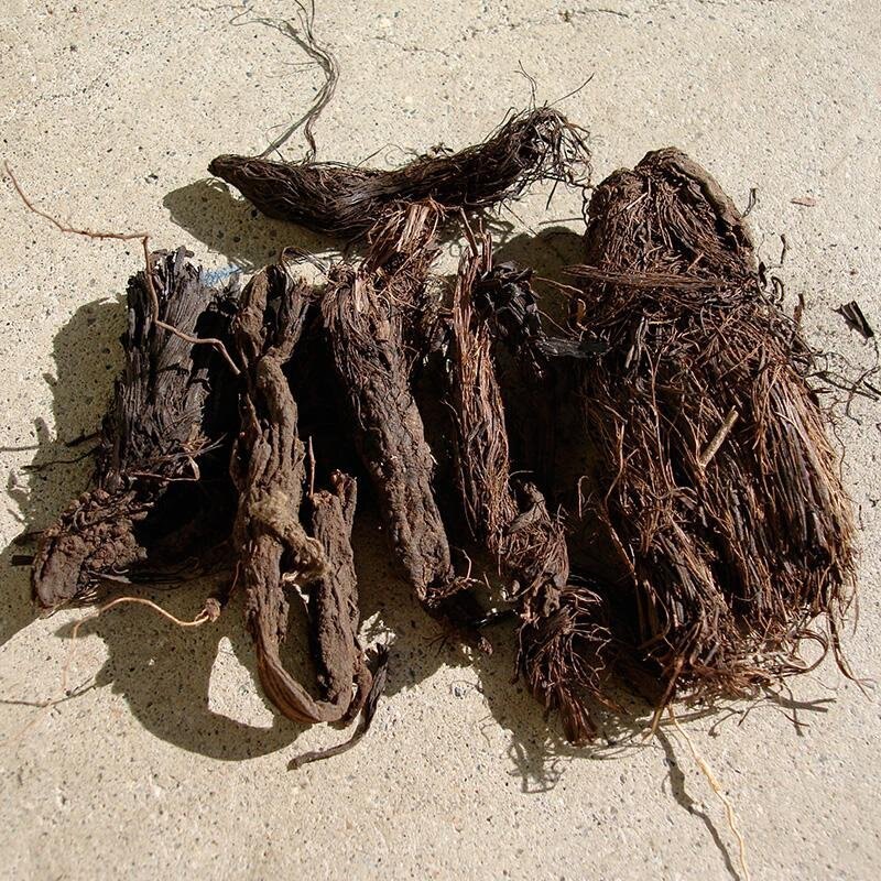 Jatamansi root, Style : Dried