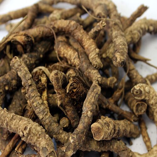 Brown Natural Kutki Root, Style : Dried