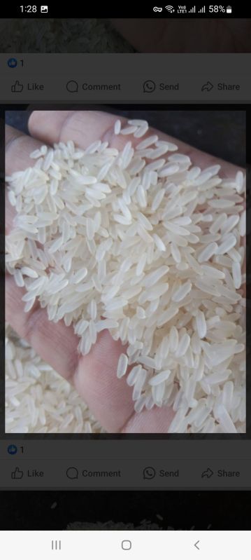 Ir64 rice, Packaging Type : Plastic Bags