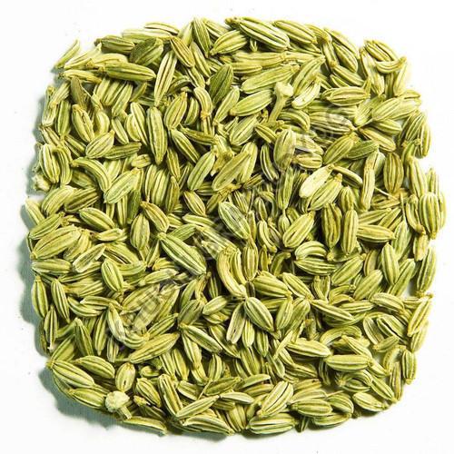 Green Organic Raw Fennel Seeds, for Cooking, Certification : FSSAI Certified