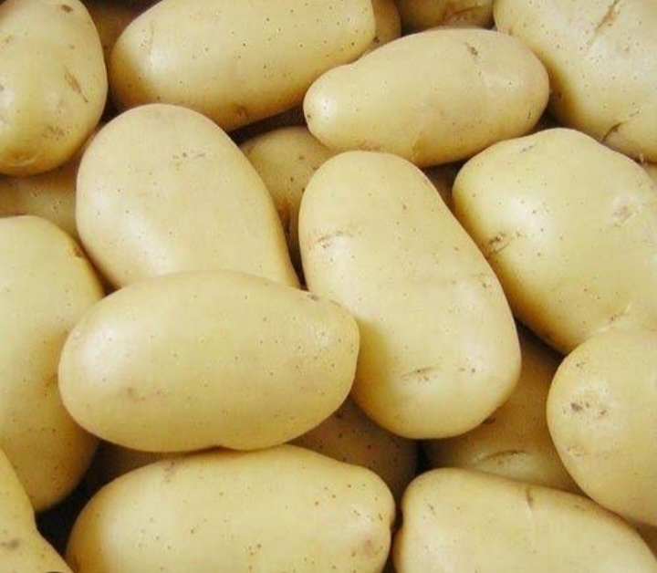 Jyoti Potato, Feature : Long Life, Eco Friendly, Dust Free