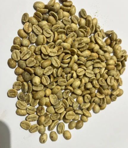 Green Arabica Cherry C Grade Coffee Beans