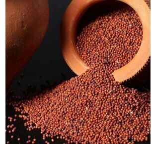 finger millet
