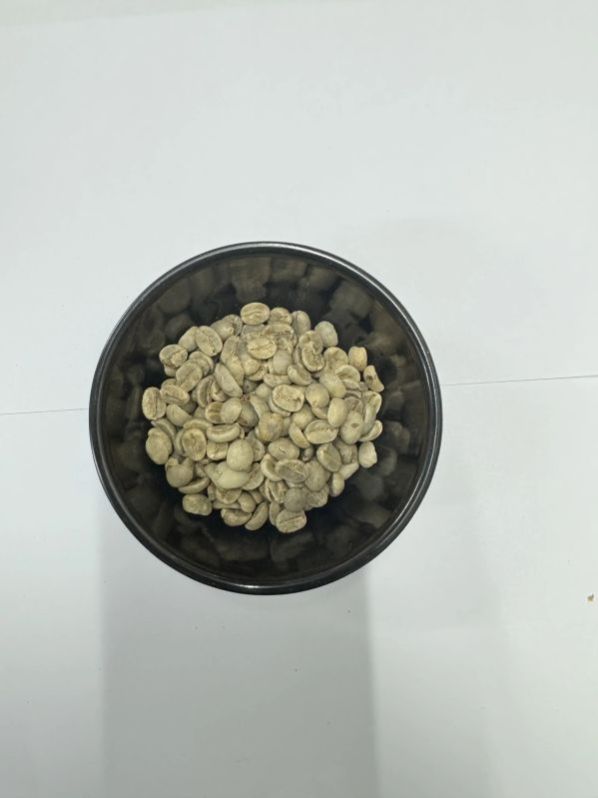 Green Arabica Cherry PB Grade Coffee Beans