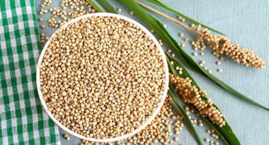sorghum millet