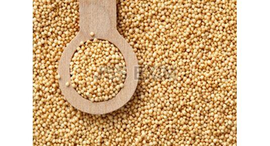 Amaranth Millet, for Cooking, Feature : Gluten Free