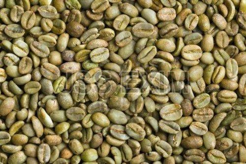 C Grade Arabica Parchment Coffee Beans