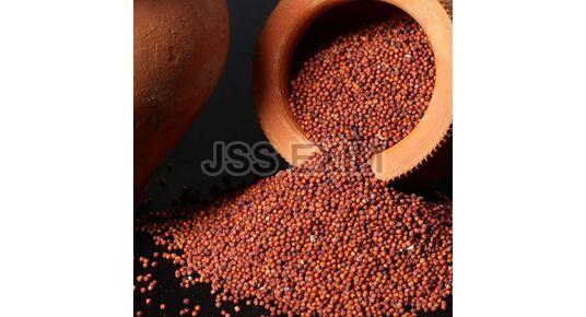 Red Seeds Finger Millet, for Cooking, Grade : Food Grade