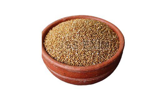Brown Natural Fine Processed Kodo Millet, for Cooking, Variety : Hybrid