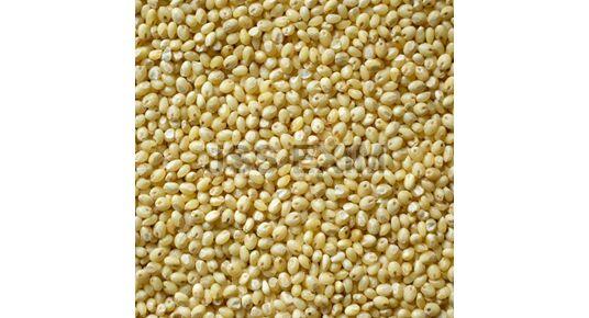 Natural Fine Processed Proso Millet, for Cooking, Variety : Hybrid