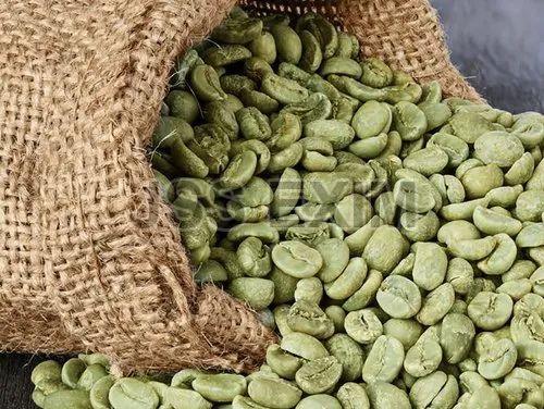 Robusta Parchment Bulk Coffee Beans