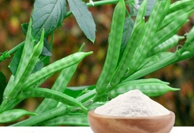 Natural Guar Gum Powder, for Cooking, Purity : 98%