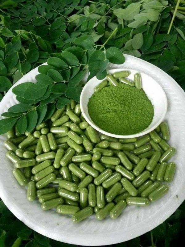 Green Moringa Capsules, for Supplement Diet, Grade Standard : Medicine Grade
