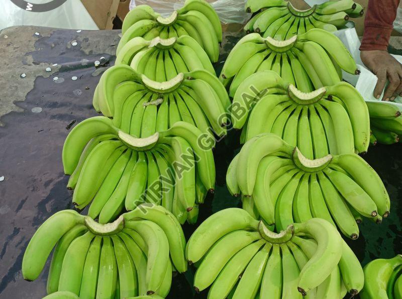 Fresh Banana, Shelf Life : 5-7 Days