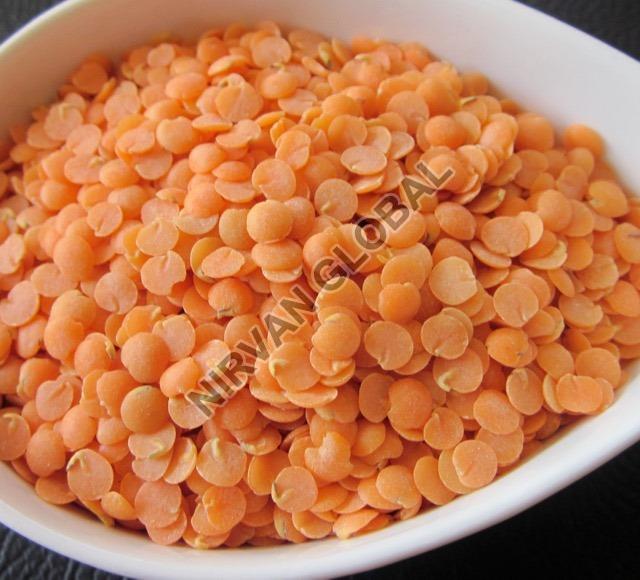 Natural Red Lentils, for Cooking, Feature : Purity
