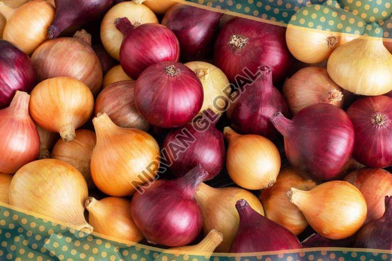 Red Onion, for Food, Quality Available : A Grade
