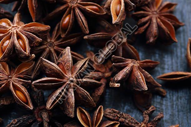 Brown Solid Star Anise