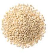 Barley