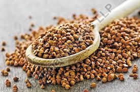 Brown Natural Buckwheat Millet Seeds, for Cooking, Packaging Type : Bag