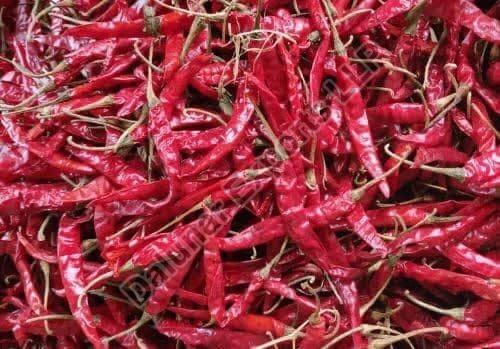 Byadgi Red Chilli, for Spices, Packaging Size : 20 Kg