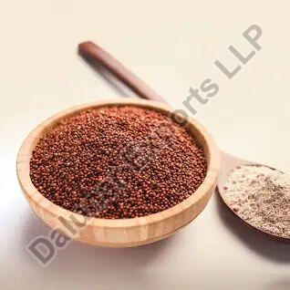 Red Natural Finger Millet Seeds, for Cooking, Feature : Non Harmful