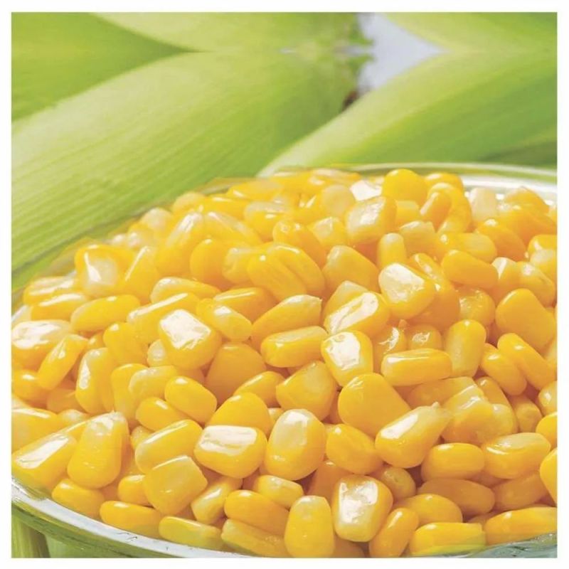 Common frozen sweet corn, for Cooking, Packaging Size : 5kg