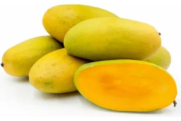 Fresh Dasheri Mangoes